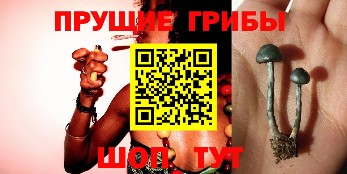 Галлюциногенные грибы прущие грибы Рузаевка