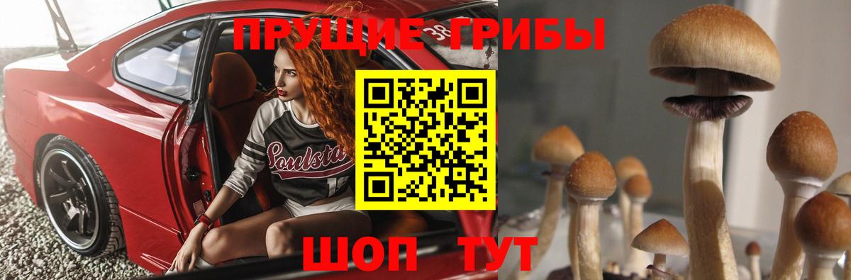 Псилоцибиновые грибы Cubensis  Вход с VPN  Рузаевка  Псилоцибиновые грибы мицелий 
